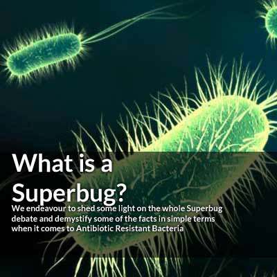Top 10 Superbugs these are teh most lethal strains of Antibiotic Resistant Bacteria known to man